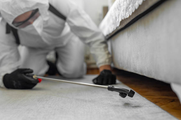 Professional Termite Control technician working in Thermopolis, WY