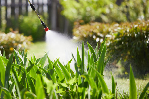 24/7 Emergency Termite Control experts in Thermopolis, WY