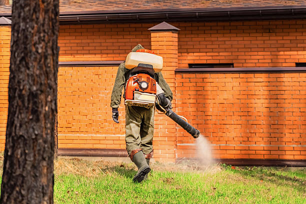 Top rated local Termite Control specialists in Thermopolis, WY